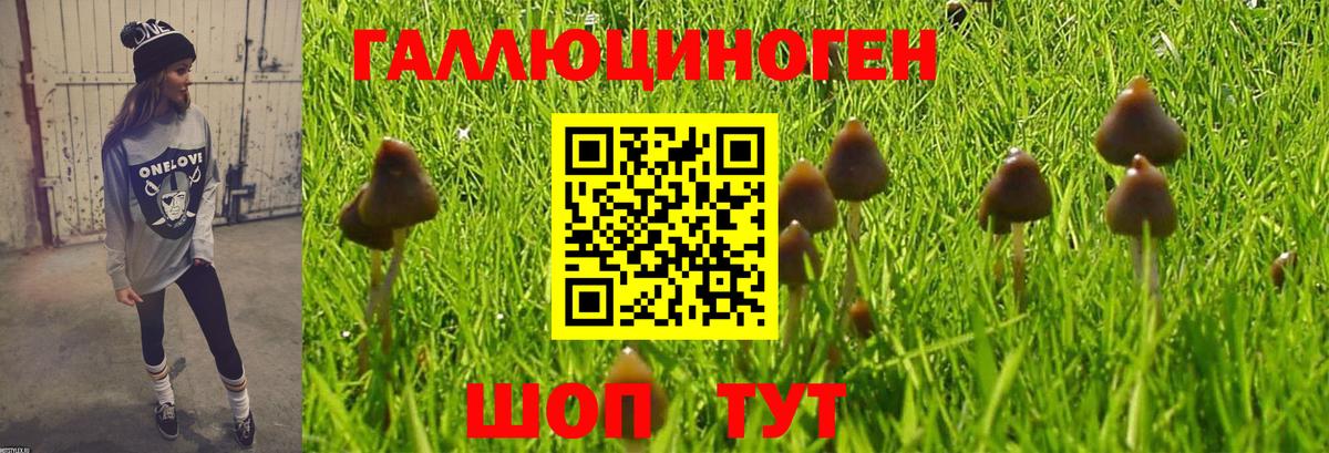 Псилоцибиновые грибы мицелий  Вход с VPN  Карпинск  Псилоцибиновые грибы Magic Shrooms 